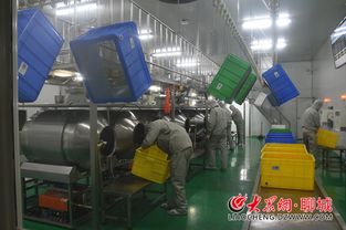 企业家访谈 四 乖宝 披荆斩棘探索前行 做中国宠物食品第一品牌