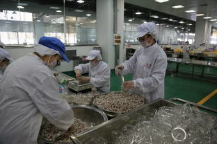 松江这家年销售额超过50亿元的食品工厂,你知道吗