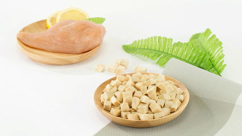 肉好味鲜营养高,小米首款冻干宠物食品惊喜上线