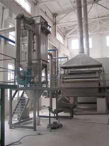 预糊化淀粉加工设备哪家好 东台市食品机械厂公司