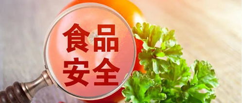 养乐帮 科普你不知道的食品安全知识 小本本准备好