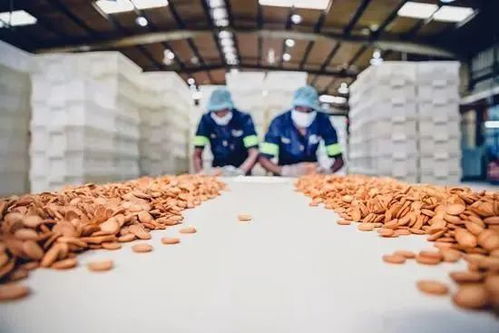 边角料食品 莫让“省钱宝藏”变成“零食刺客”